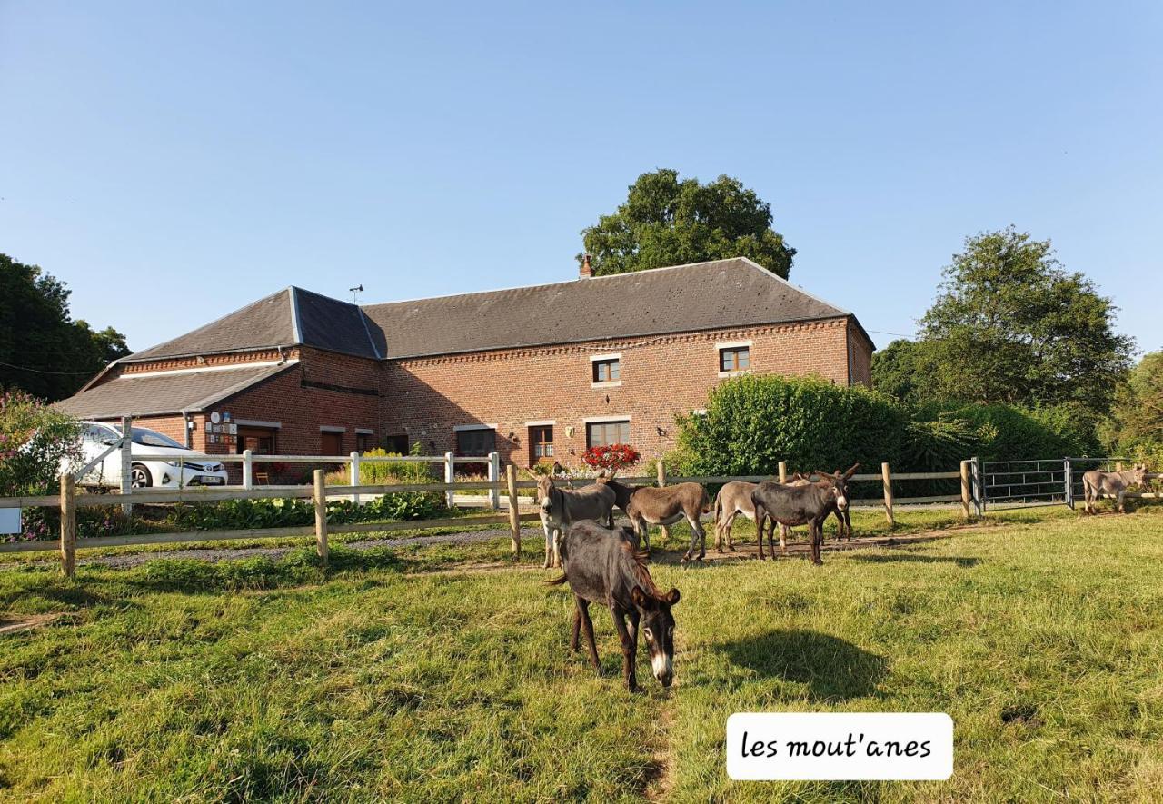 Les Mout'Anes Bed & Breakfast Saint-Hilaire-sur-Helpe Ngoại thất bức ảnh