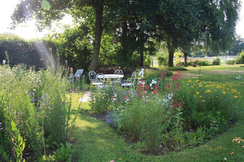 Les Mout'Anes Bed & Breakfast Saint-Hilaire-sur-Helpe Ngoại thất bức ảnh